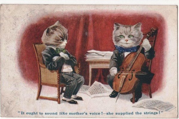 画像1: チェロを弾く猫 (1)