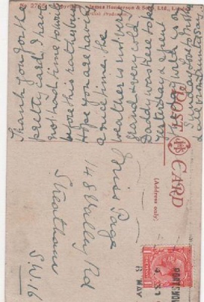 画像2: チェロを弾く猫 (2)