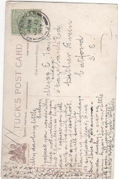 画像2: 子豚を抱く猫 G.Barnes (2)