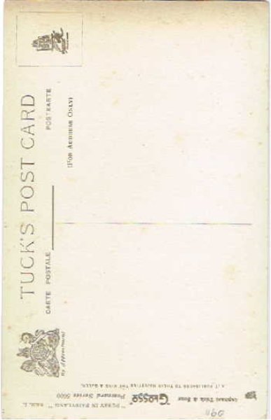 画像2: 豚を抱く猫 G.Barnes (2)