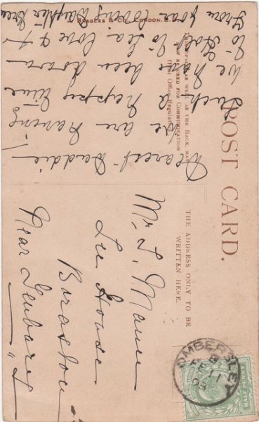 画像2: 文字を書くチンパンジー 猿 (2)