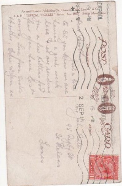 画像2: Good Luck Cat 沢山生まれた黒猫に驚く老夫婦 Fred Spurgin (2)