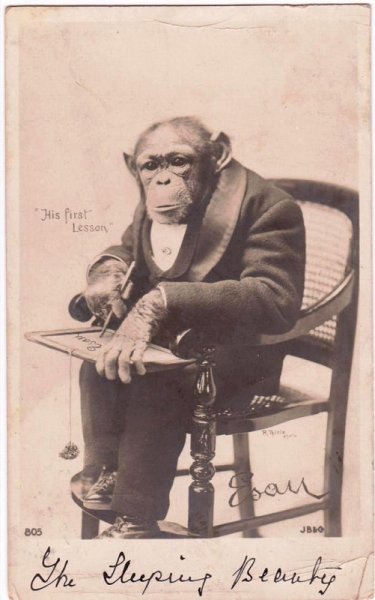 画像1: 文字を書くチンパンジー　猿 (1)