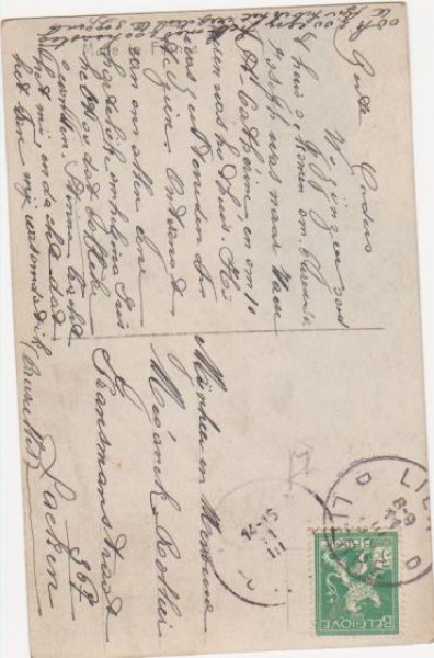 画像2: 薔薇のお花と女の子 (2)