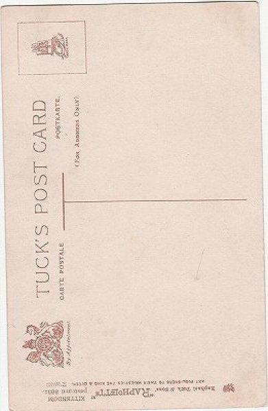 画像2: 子猫と子どもたち　（未使用） (2)