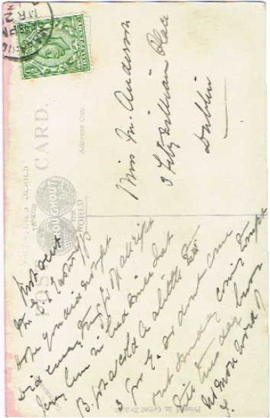 画像2: ウサギとヒヨコ (2)