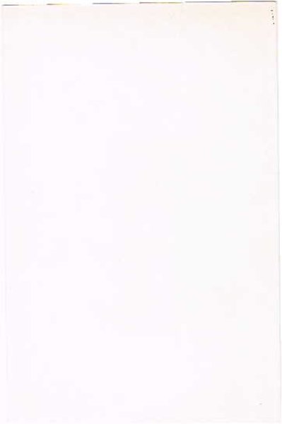 画像2: スピーチをする猫 (2)