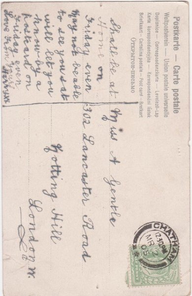 画像2: スミレのお花 (2)