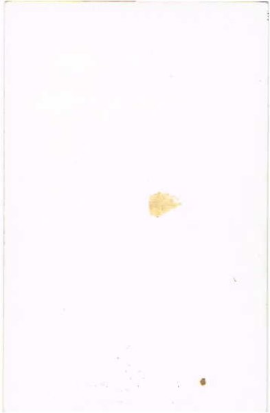 画像2: バレリーナ (2)