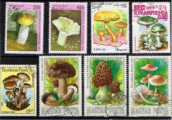 画像1: 世界の切手　キノコ 8枚セット (1)
