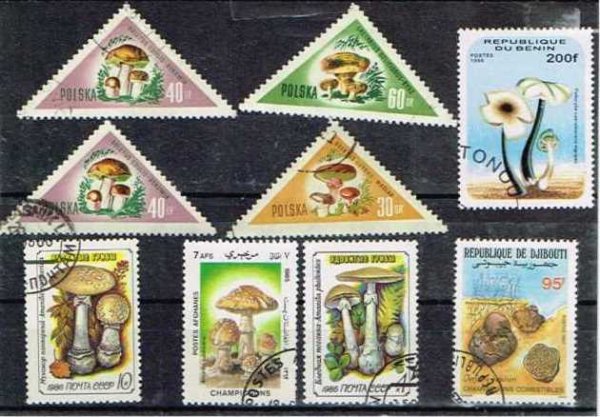 画像1: 世界の切手　キノコ ９枚セット (1)