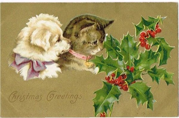画像1: 猫のクリスマスカード　Helena Maguire　未使用 (1)