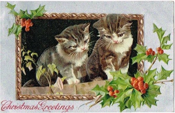 画像1: 猫のクリスマスカード　Helena Maguire (1)