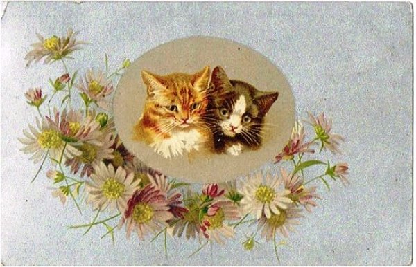 画像1: お花と猫　Helena Maguire (1)