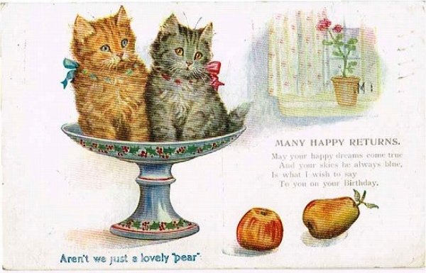 画像1: フルーツ皿の上の子猫 イギリス1918年消印 (1)