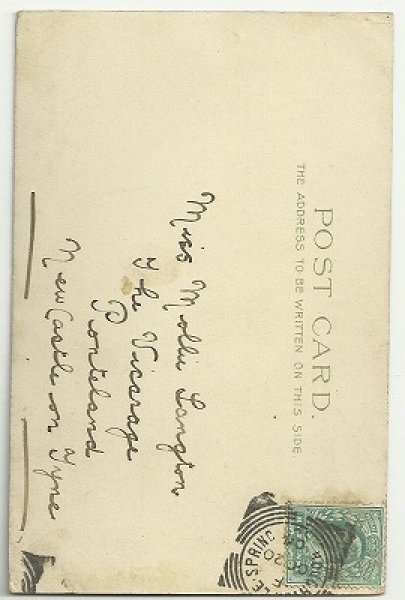 画像2: 自転車のサドルの上の猫 1904年消印 (2)