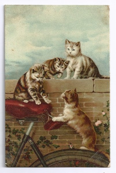 画像1: 自転車のサドルの上の猫　1904年消印 (1)