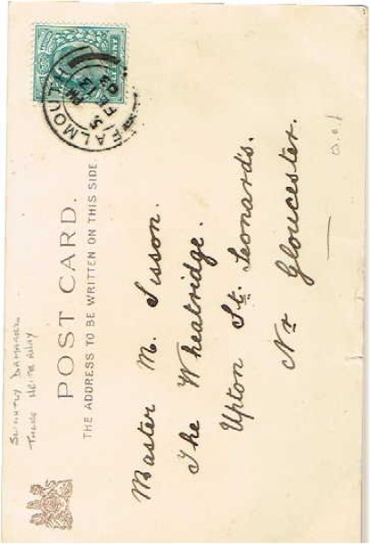 画像2: 目隠し鬼ごっこで遊ぶ猫 Helena Maguire (2)