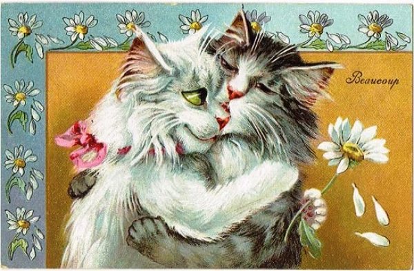 画像1: 恋する猫　花占い　Maurice Boulanger (1)