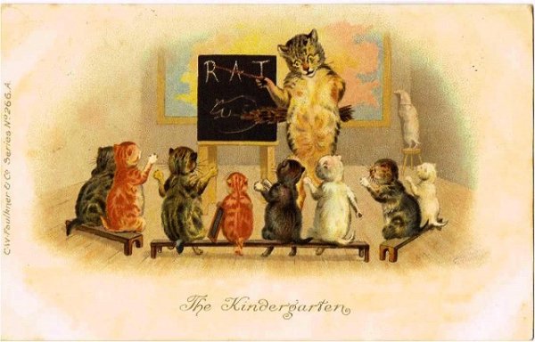 画像1: 猫の幼稚園　1905年消印 (1)