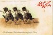 画像1: 踊る3匹の猫　1907年消印 (1)