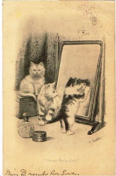 画像1: 鏡の前の猫　 (1)