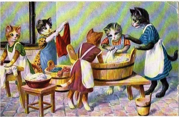 画像1: お洗濯をする猫達 (1)