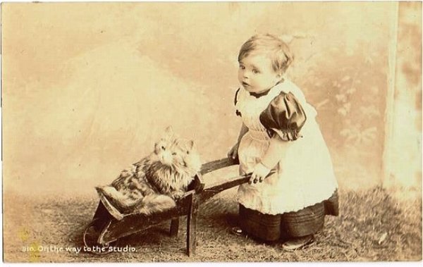 画像1: 猫を運ぶ女の子 未使用 (1)