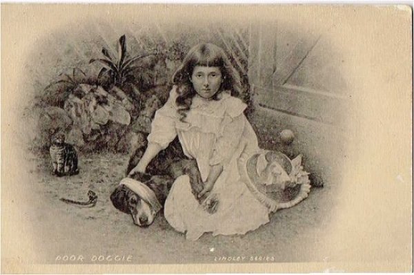 画像1: 怪我をした犬を看病する女の子と猫 (1)