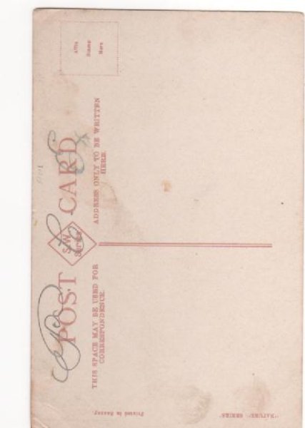 画像2: オーストラリア　シドニー　クイーン・ビクトリア・マーケット　Queen Victoria Markets (2)