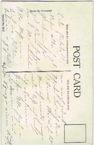 画像2: スミレのお花を運ぶツバメ (2)