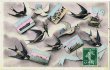 画像1: 船のポストカードを運ぶツバメと鳩 (1)