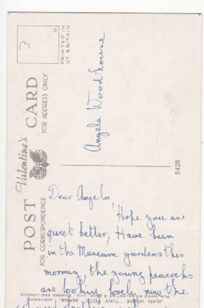 画像2: 絵本を読み聞かせるリスのおばあちゃん Jean Howe (2)