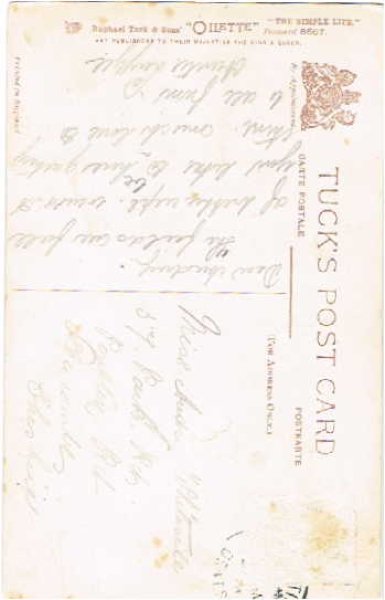 画像2: クローバー畑の豚の親子 (2)