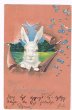 画像1: イースター白いウサギ (1)