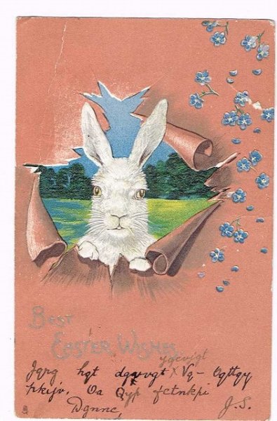 画像1: イースター白いウサギ (1)