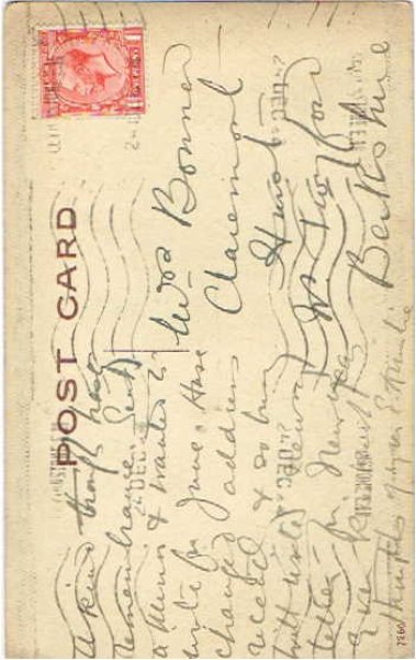 画像2: クリスマス スミレのお花かご (2)