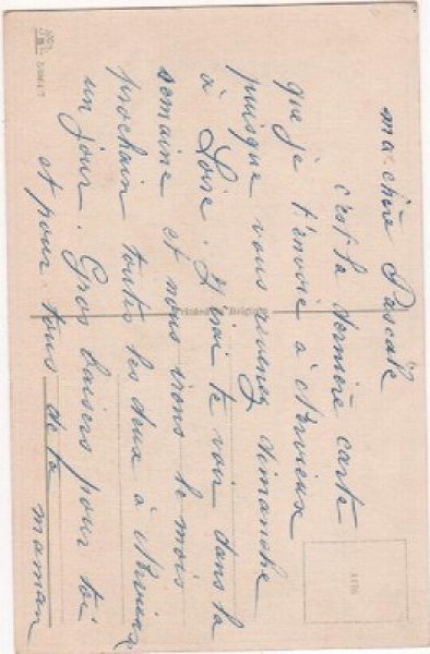 画像2: 猫の学校 遠足 (2)