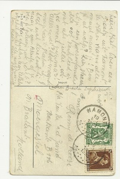 画像2: 猫のピクニック ティーパーティ (2)