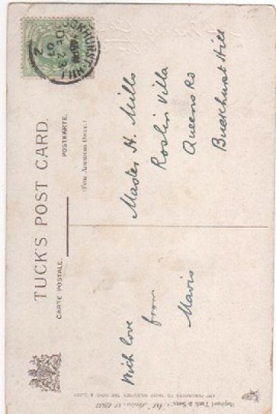 画像2: 毛糸のバスケットと猫 (2)