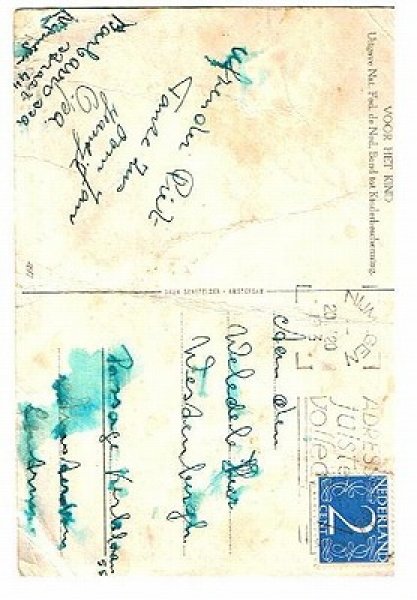 画像2: 黒猫さんの家族 (2)