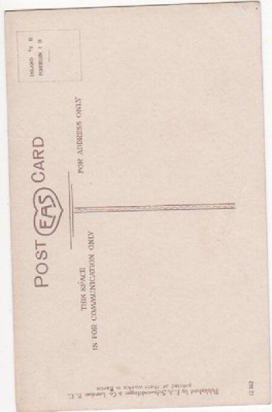 画像2: 猫とお花 未使用 (2)