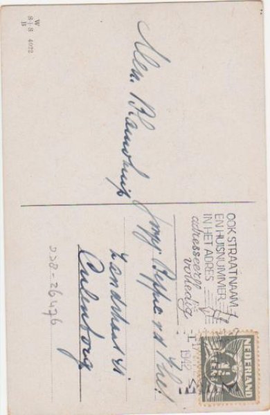 画像2: 猫の家族 ホテルへようこそ (2)