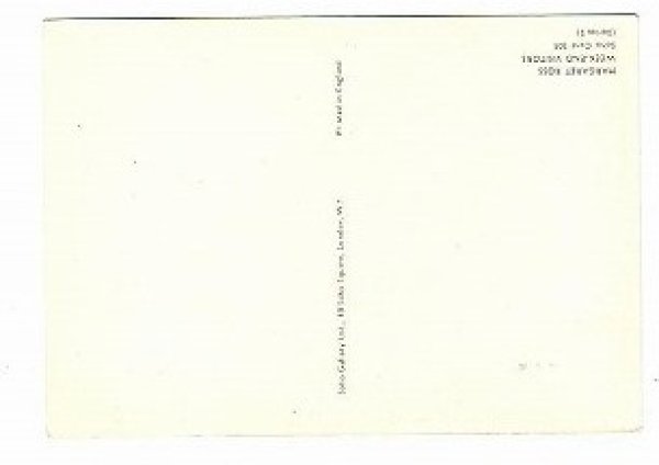 画像2: ウサギさんの家族 週末の訪問者 Margaret Ross (2)