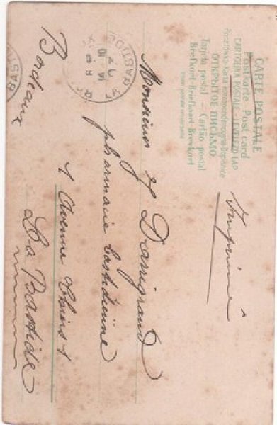 画像2: 猫と薔薇のお花のバスケット (2)