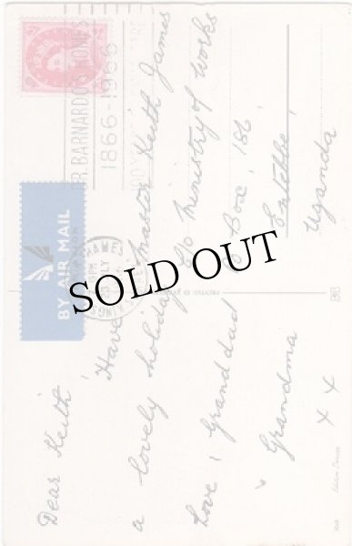 画像2: 魚釣りをする猫たち (2)