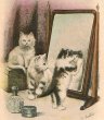 画像3: 鏡の前の猫 (3)