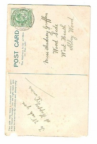 画像2: 猫の学校  (2)