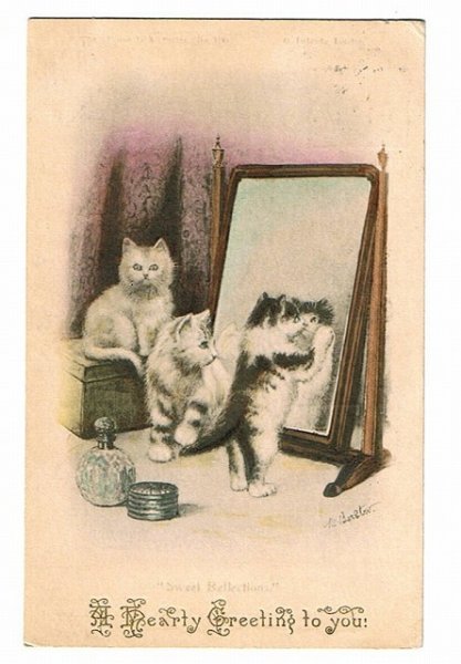 画像1: 鏡の前の猫 (1)