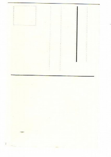 画像2: 電車に乗る猫たち (2)